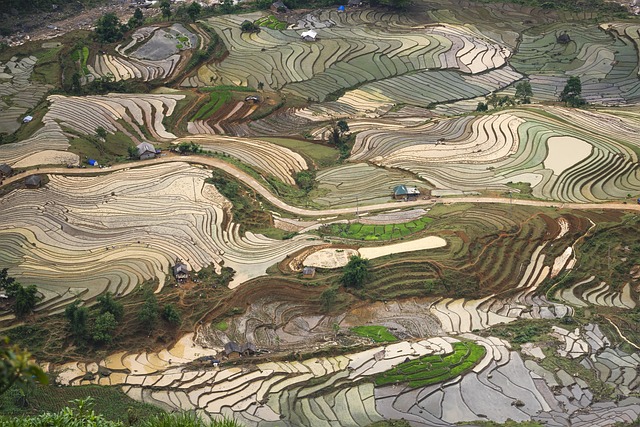 Laos Travel Insights: Your Comprehensive Guide to Natural Wonders and Cultural Experiences